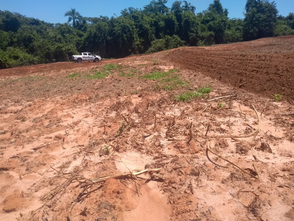 Fazenda em Osvaldo Cruz foi autuada em R$ 5,2 mil por degradações ambientais — Foto: Polícia Ambiental