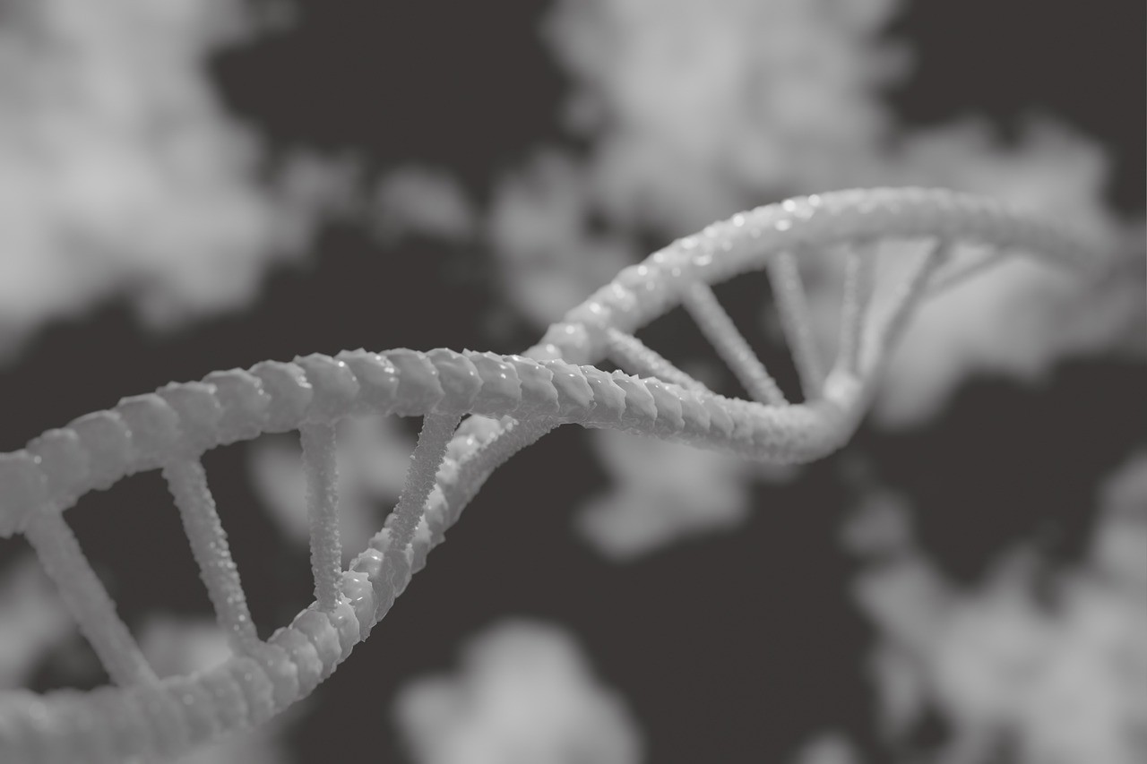 DNA (Foto: Pixabay)