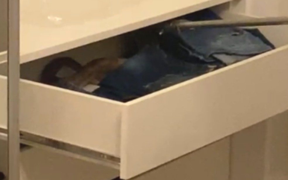 Cobra é encontrada em guarda-roupa de apartamento em Goiânia — Foto: Divulgação/Corpo de Bombeiros