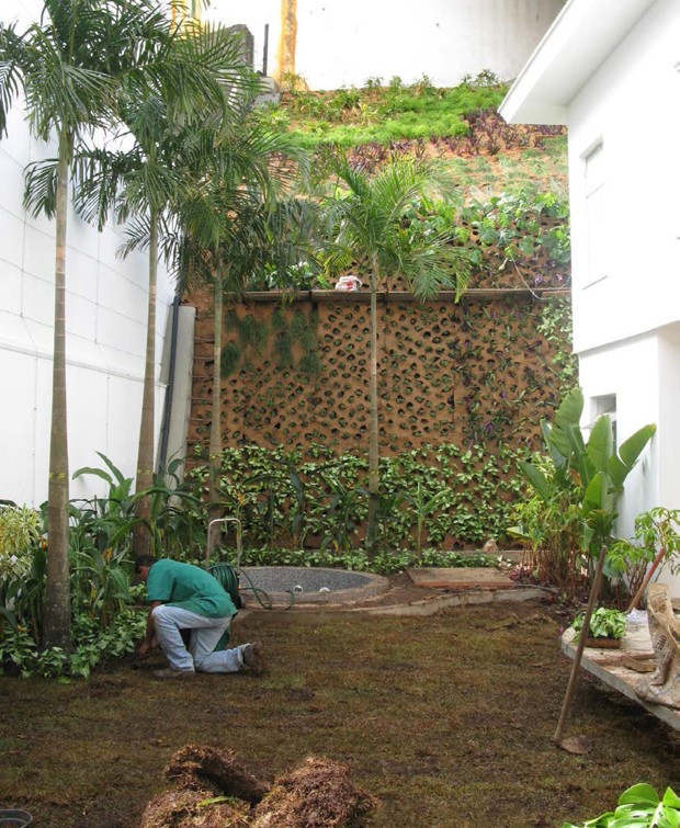 Sobre as placas de fibra de coco, Gabriela plantou guiambês, singônios, costelas-de-adão e bulbines (Foto: Casa e Jardim)