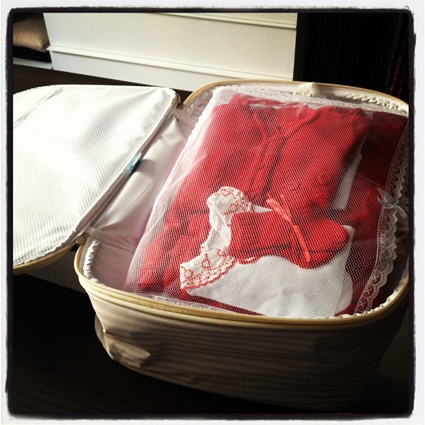 Sheila Mello mostra sua mala de maternidade para os fãs (Foto: Reprodução / Instagram)