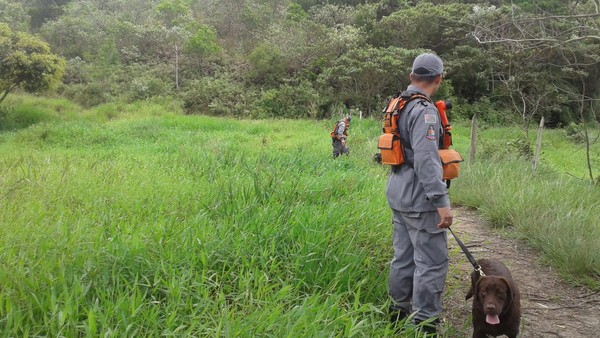 Laudo Confirma Que Causa Da Morte De Rayane Foi Asfixia Por Estrangulamento Diz Policia Mogi Das Cruzes E Suzano G1