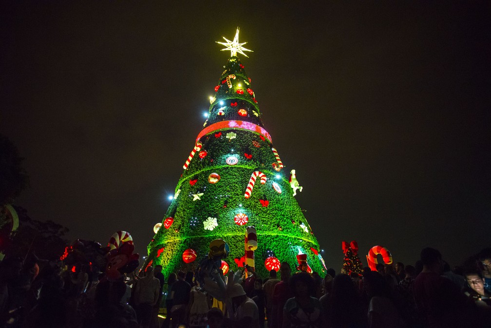 Árvore de Natal do Ibirapuera é inaugurada com queima de fogos | São Paulo  | G1