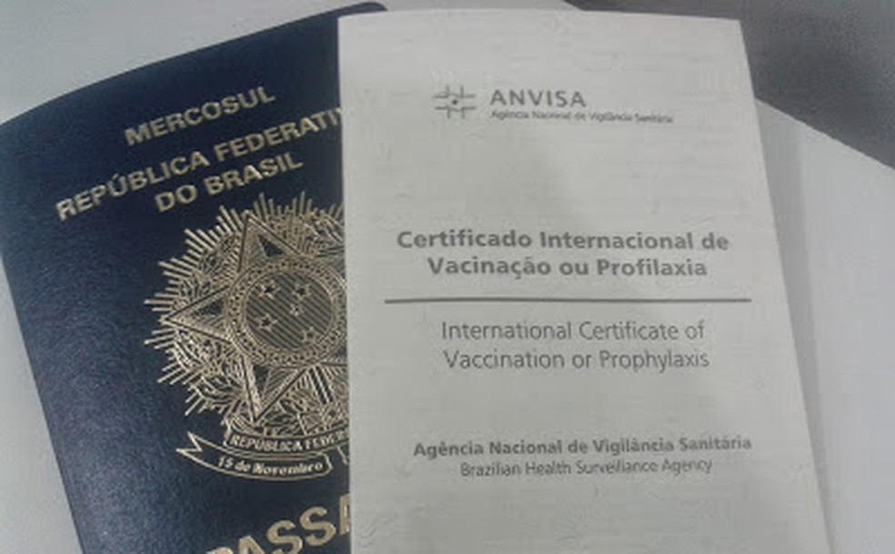 CIVP comprova a regularidade de vacinas contra doenças como a febre amarela — Foto: Samira Lima/G1