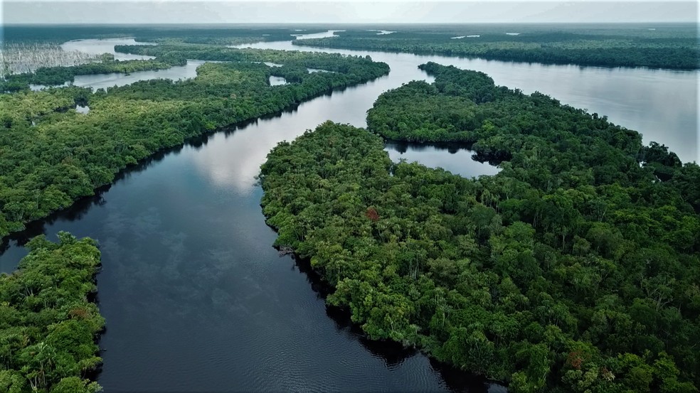 Rio Negro e afluentes percorrem a Amazônia. — Foto: Marcelo Ferri
