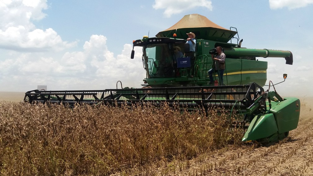 Em nove anos, produção de soja do estado cresceu 79,5% e renda aumentou 125,5%, apontam dados do MAPA e da Conab — Foto: Anderson Viegas/G1 MS