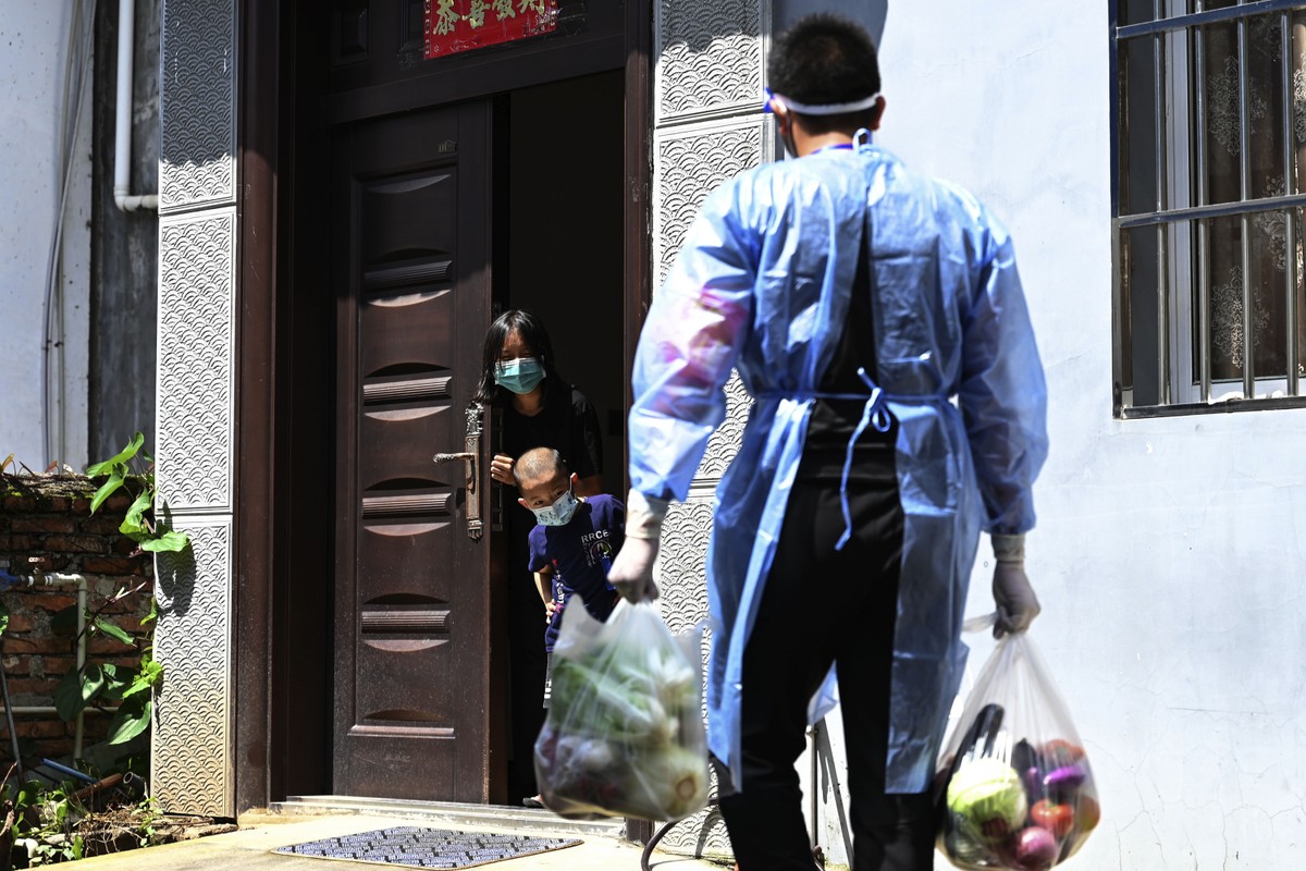 Autoridades chinesas matam cachorro de mulher confinada por Covid