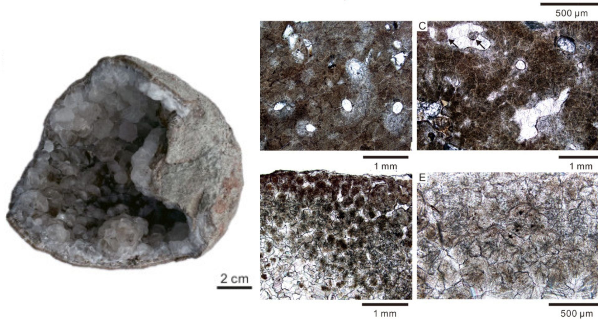 Pesquisadores descobriram dois ovos de dinossauro preenchidos por cristais na Formação Chishan do Cretáceo Superior na Bacia de Qianshan (Foto: QingHe et.al )
