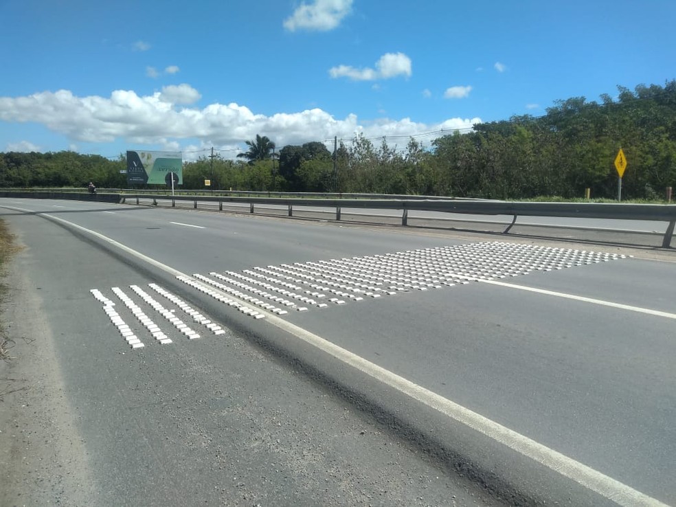 Ciclistas reclamam que tachões na rodovia AL-101 Sul causam acidentes — Foto: Carolina Sanches/ TV Gazeta