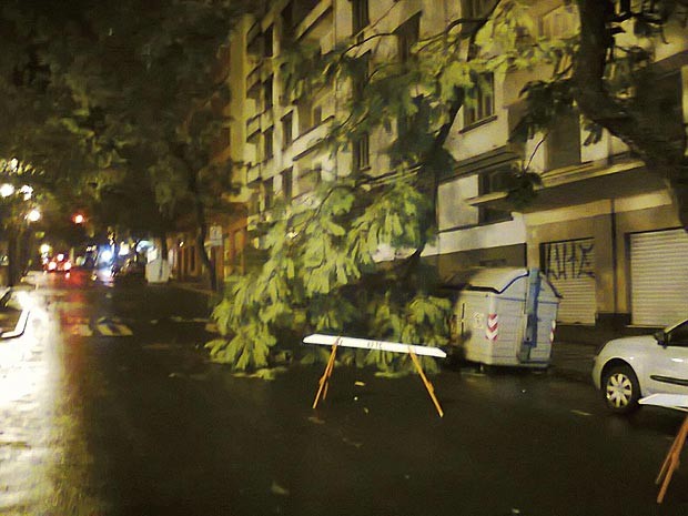 Parte de árvore caiu na Avenida Borges de Medeiros, Centro de Porto Alegre (Foto: João Laudi/RBS TV)