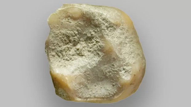 Este fragmento de dente de criança pode mudar a história do surgimento dos humanos modernos (Foto: LUDOVIC SLIMAK via BBC)