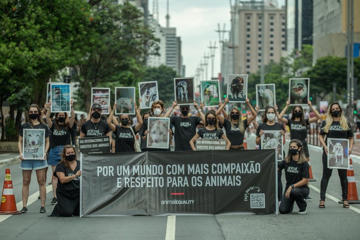 Denúncias de maus-tratos a animais crescem 15,6% em 2021, em SP | São Paulo