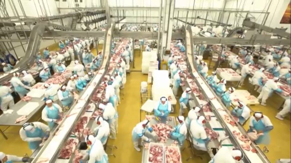 Carne de porco produzida no estado tem abastecido mercados de diversos pa&iacute;ses, incluindo Hong Kong, Cingapura e Vietn&atilde; &mdash; Foto: Reprodu&ccedil;&atilde;o/RPC