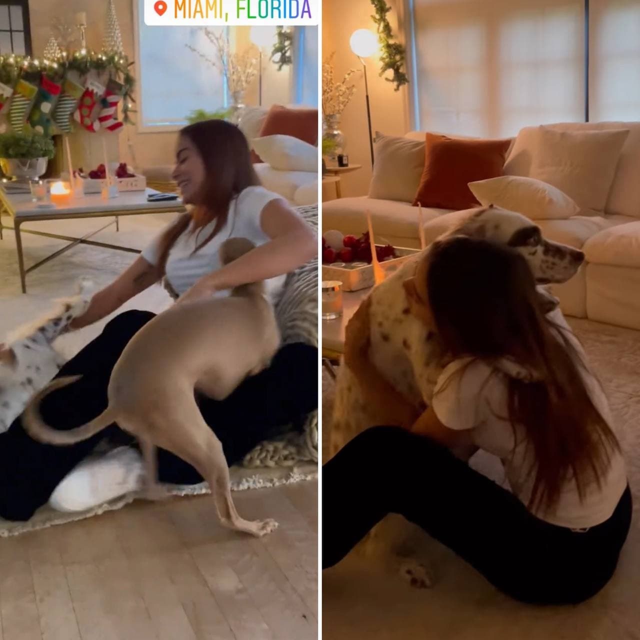 Anitta mostra reação de cachorros de estimação ao chegar em casa (Foto: Reprodução / Instagram)