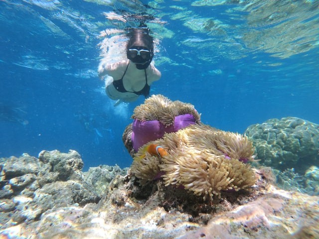 Se for mergulhar de snorkel, cuidado para não esbarrar em recifes de corais (Foto: Unsplash/ Maja Novak/ CreativeCommons)