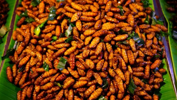 Larvas de bicho-da-seda em prato típico da Tailândia; em países ocidentais, a entomofagia enfrenta resistência cultural (Foto: Getty Images via BBC)