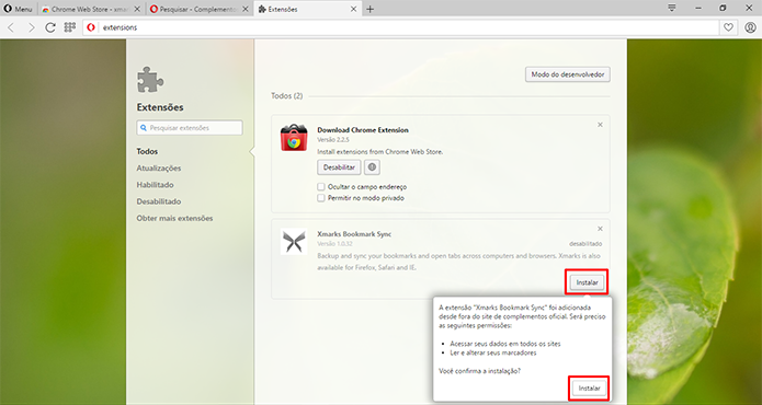 Opera precisa da confirmação para instalar a extensão do Chrome (Foto: Reprodução/Elson de Souza)