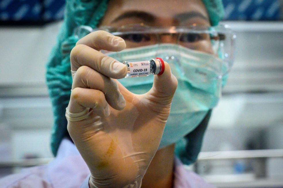 Técnica de laboratório exibe uma dose de uma candidata a vacina contra a Covid-19 pronta para ser testada em macacos no Centro Nacional de Pesquisa de Primatas da Tailândia, na Universidade Chulalongkorn — Foto: Mladen Antonov/AFP