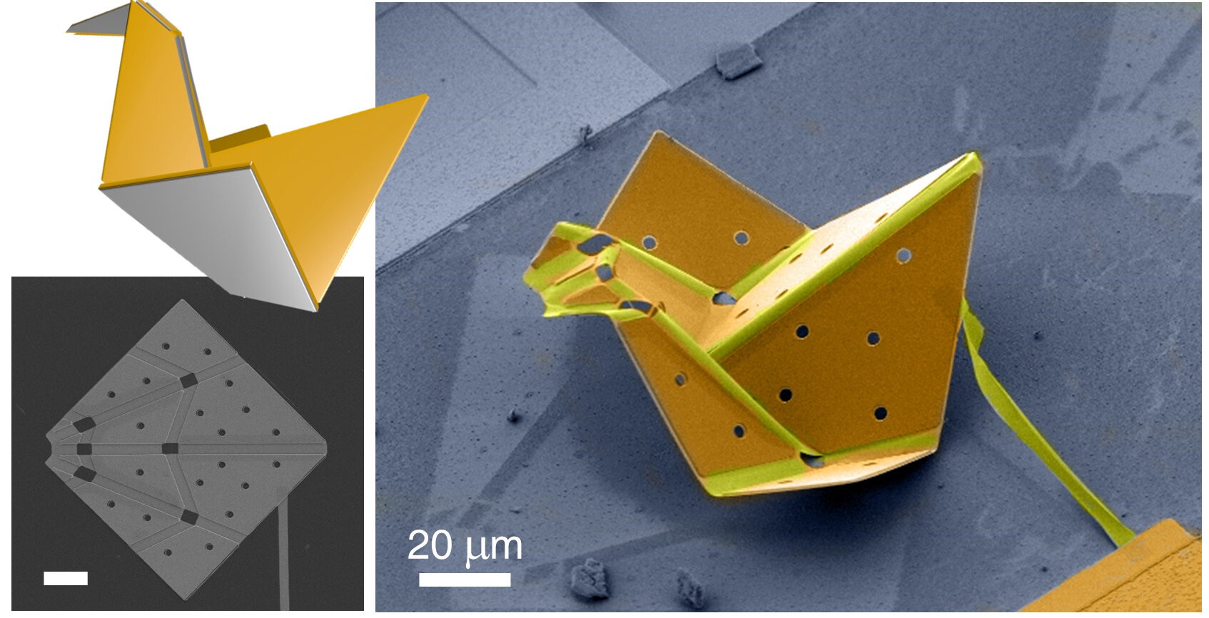Graças à nanotecnologia, cientistas construíram o que pode ser o menor pássaro de origami do mundo (Foto: Liu et al., Sci. Robot. 6, eabe6663 (2021))
