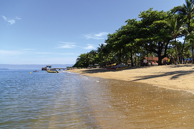 Mesmo urbana, a praia do perequê conserva a natureza nativa. (Foto: Thinkstock)