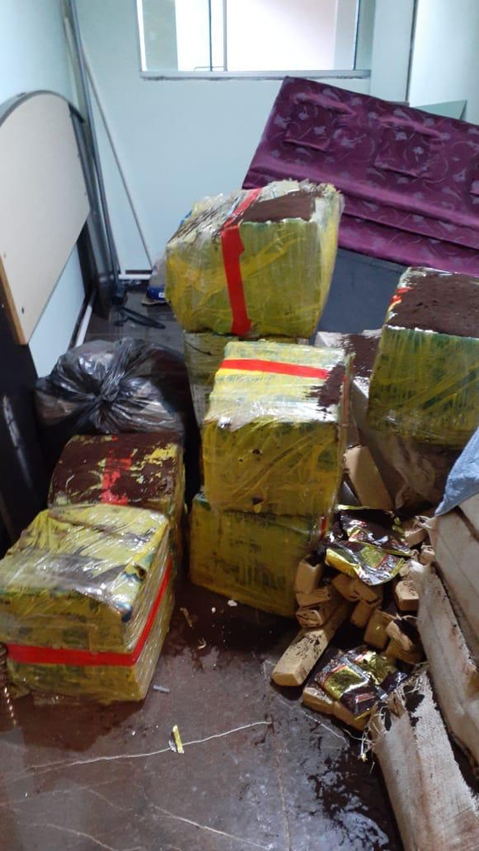 450 kg de maconha foram encontrados pela PF  Foto: PF/Divulgação