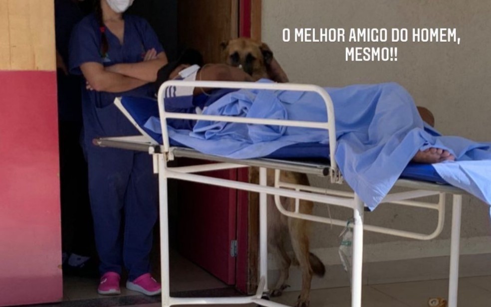 Cão esperando atendimento médico do dono, em Mineiros — Foto: Arquivo Pessoal/Igor Paiva