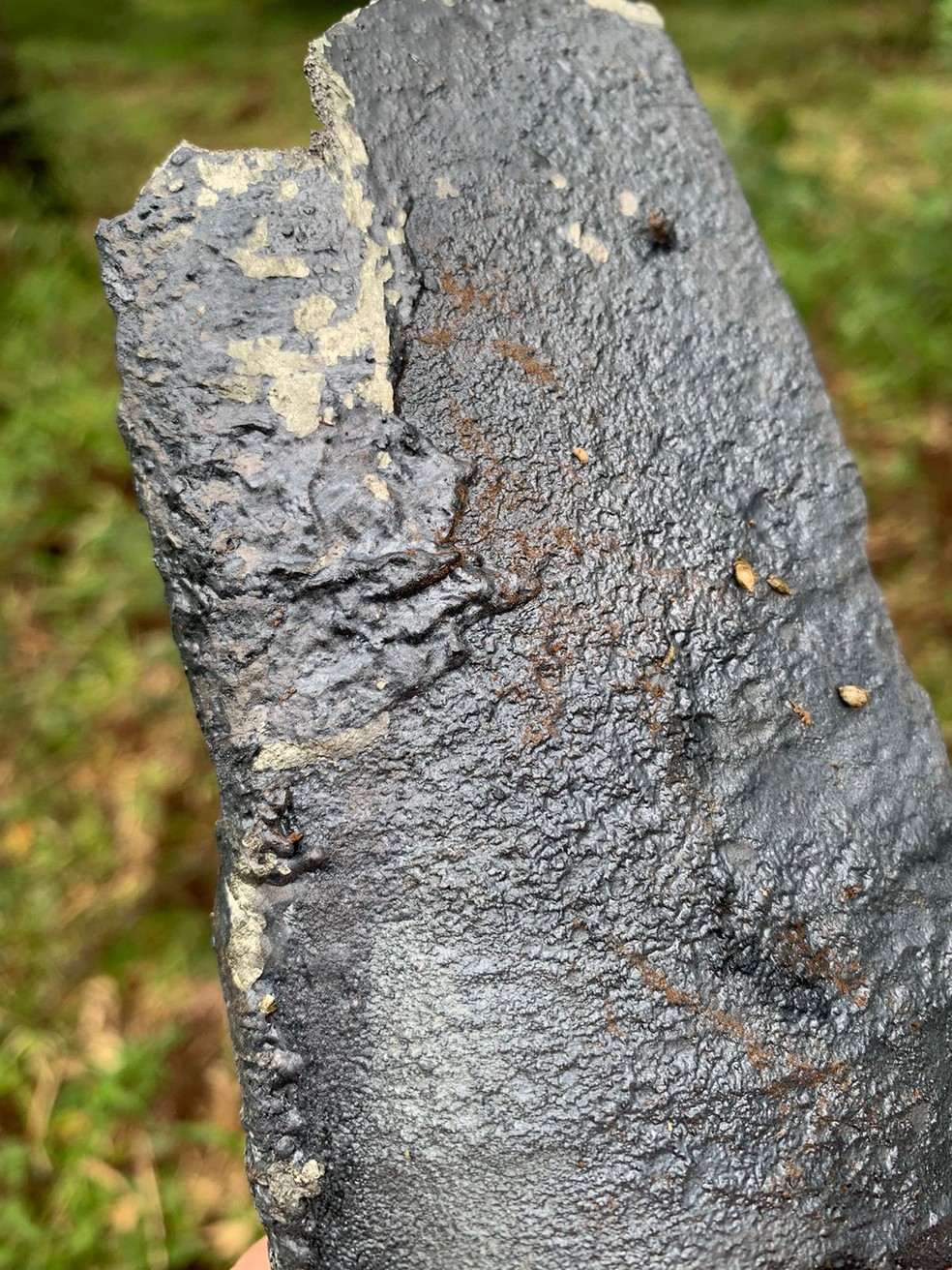 Peças de metal encontradas em propriedade rural — Foto: Portal RDX/Reprodução