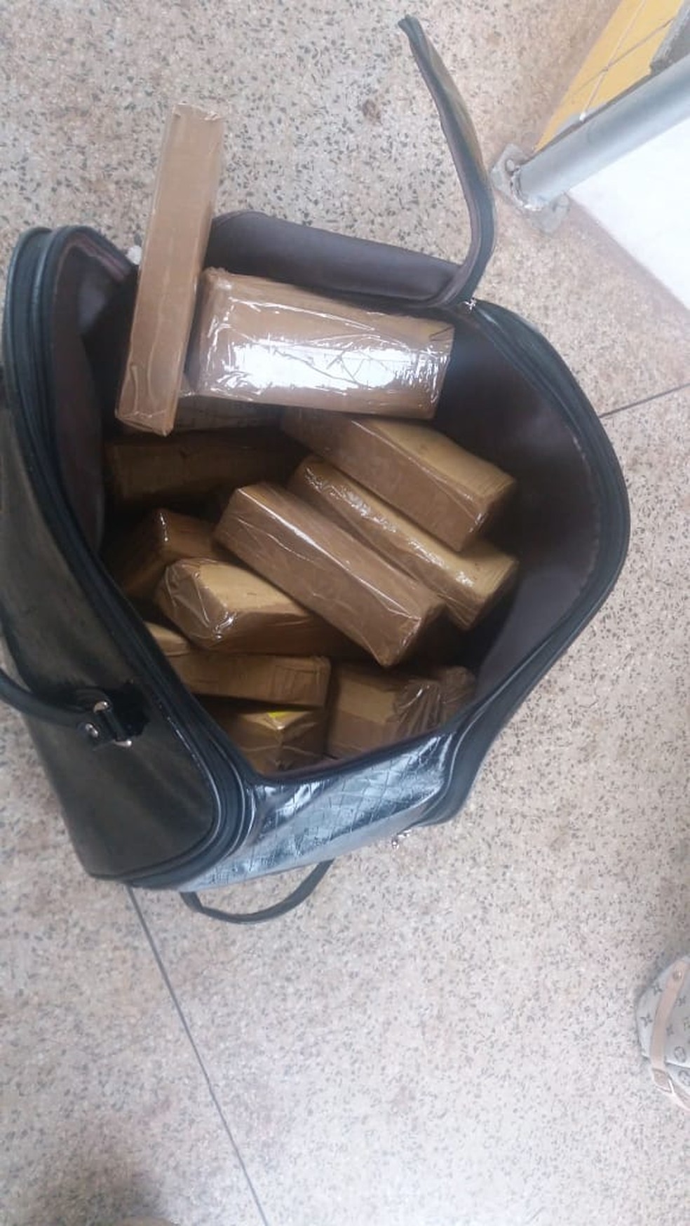 PolÃ­cia RodoviÃ¡ria apreendeu 25 Kg de maconha com duas mulheres na BR-010 â Foto: DivulgaÃ§Ã£o/PolÃ­cia RodoviÃ¡ria Federal
