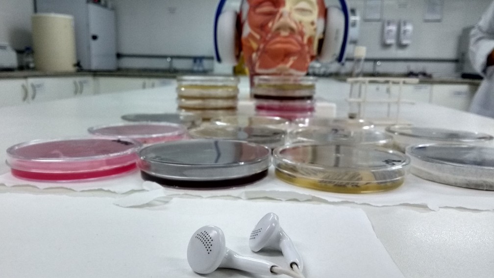 Cerca de 10 mil fungos e bactérias foram constatados nos fones de ouvido estudados em Campinas (Foto: Patrícia Teixeira / G1)