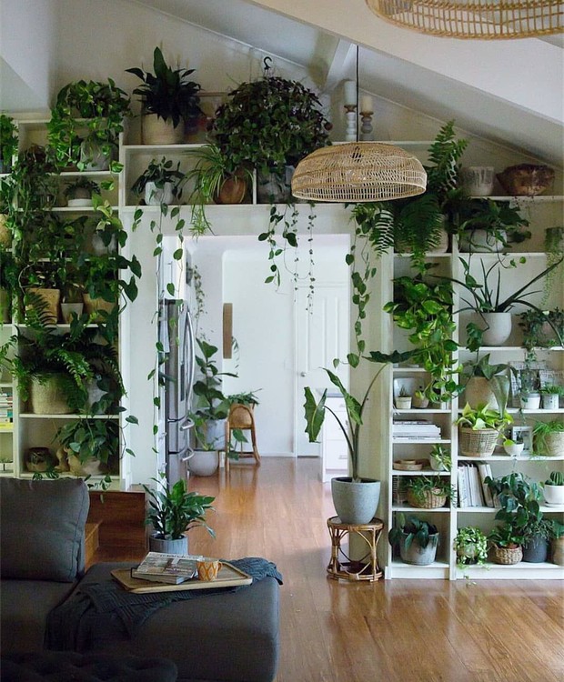 Ideias de jardinagem para decorar sua casa