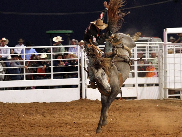 ProHorse Rodeo - Titanic, da ProHorse, é o melhor cavalo