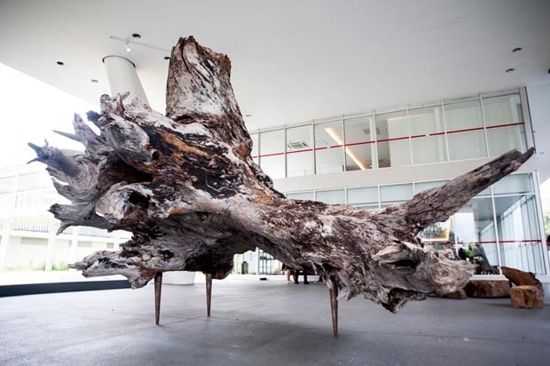 Hugo França cria obra de arte com tronco de quatro toneladas (Foto: Divulgação)