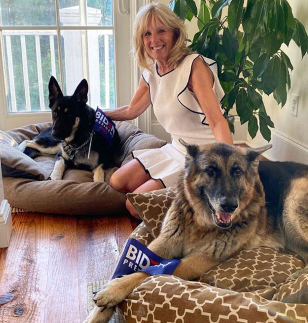 Jill Biden posa com os c?es da fam?lia, Major e Champ ? Foto: Reprodu??o/Instagram/Jill Biden
