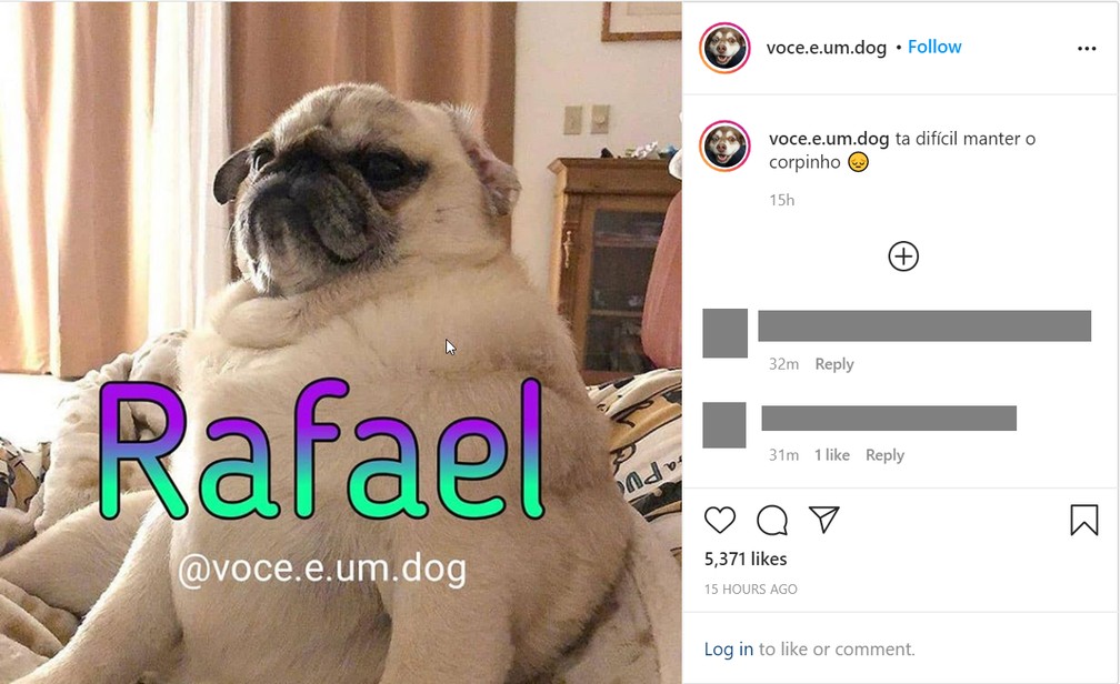 Páginas que misturam fotos engraçadas de animais e nomes próprios viram febre no Instagram — Foto: Reprodução