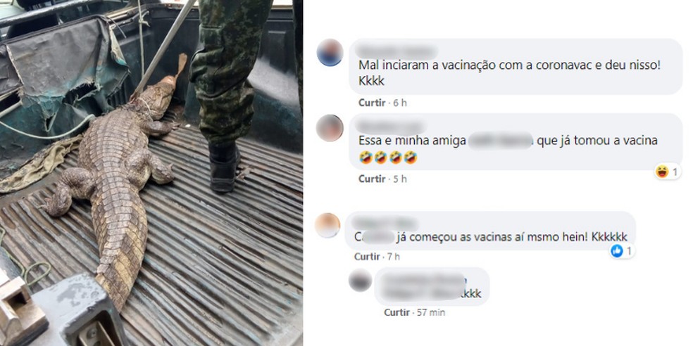 Internautas ironizaram o aparecimento do animal na cidade — Foto: G1 Santos