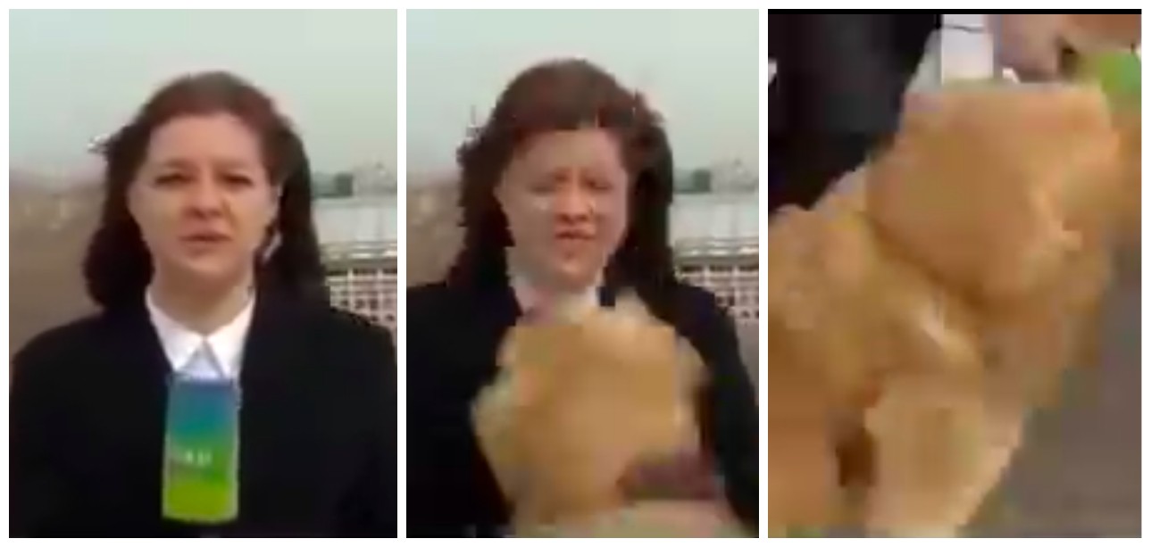 Registros do instante da transmissão ao vivo na qual a jornalista Nadezhda Serezhkina tem seu microfone roubado por um cachorro (Foto: Reprodução)
