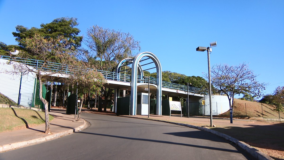 UFU abre 19 vagas para professores efetivos e substitutos; saiba como se inscrever Concursose