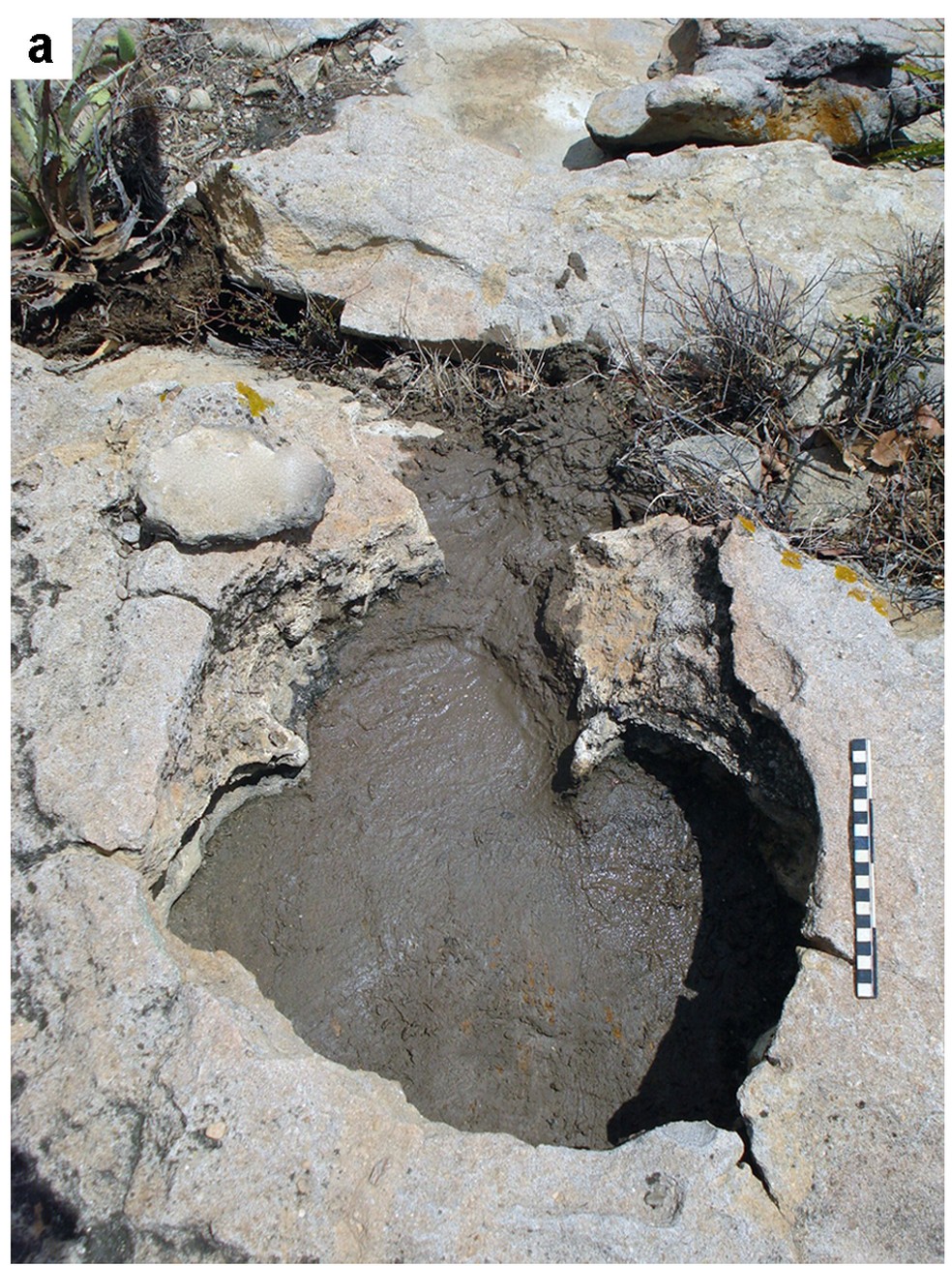 Pegadas de dinossauros foram identificadas pela primeira vez no Rio Grande do Norte RN  — Foto: Divulgação/UFRN