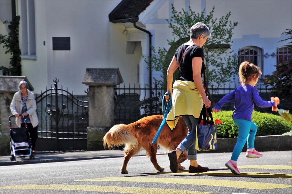 Conflito em família: metade dos pais entra em confronto com pelo menos um dos avós por causa da forma como os netos são tratados — Foto: pasja1000 por Pixabay