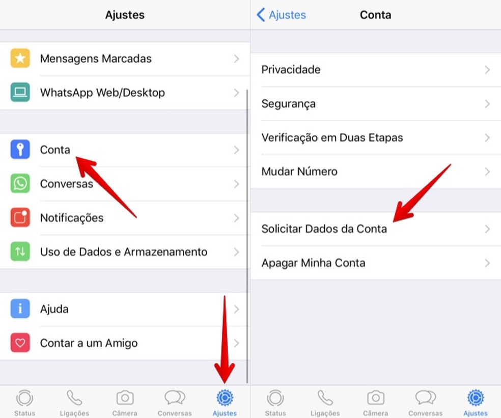 Como apagar relatório de dados pessoais do WhatsApp no iPhone | Redes