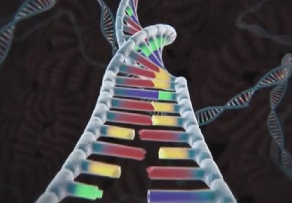 Técnica de edição do DNA (Foto: Reprodução)