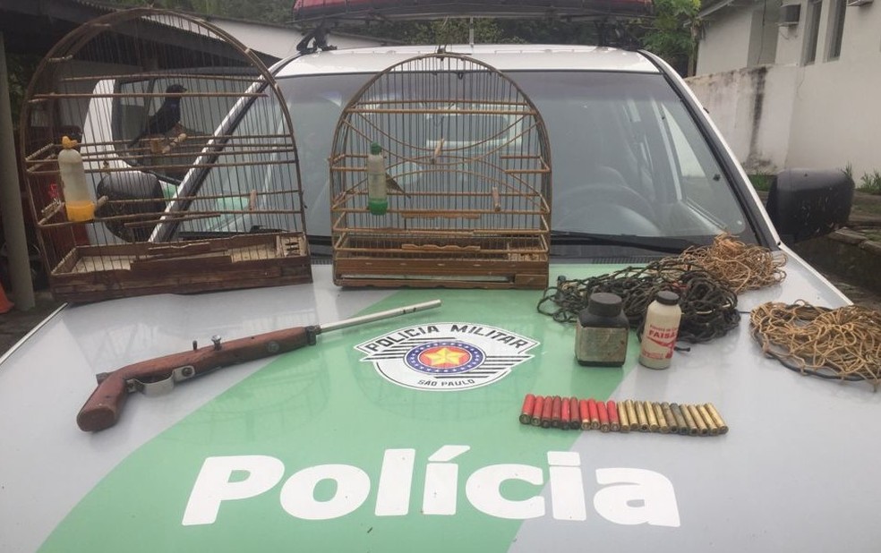PM Ambiental apreende pássaros silvestres, arma de fogo e munições no litoral de SP — Foto: Polícia Militar Ambiental