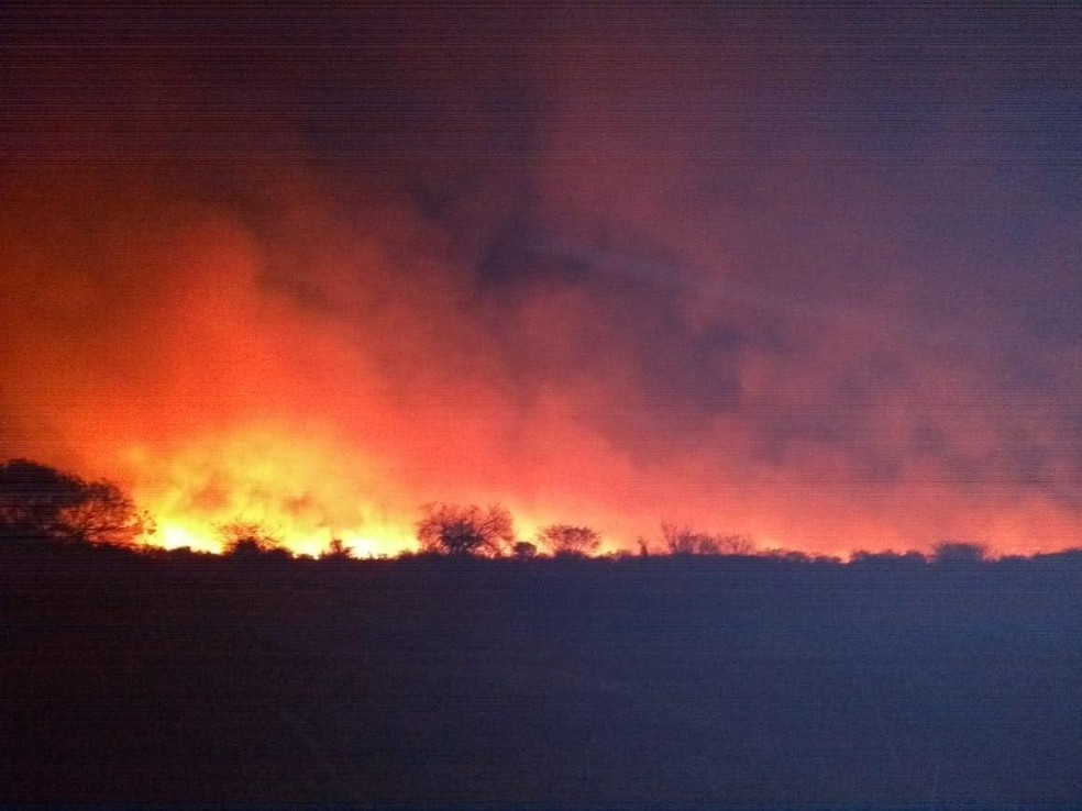 Chamas atingiram reserva em Presidente Epitácio (Foto: Corpo de Bombeiros/Divulgação)