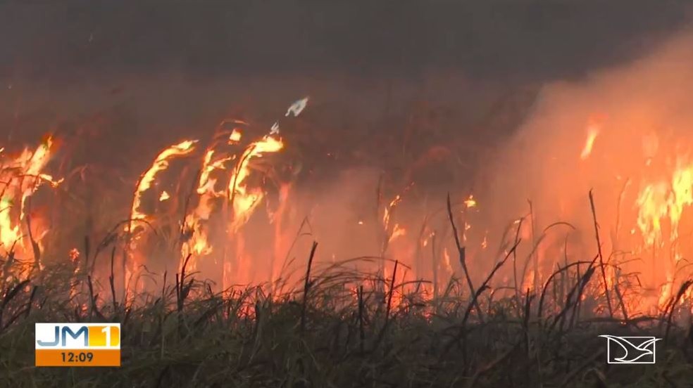 Fogo destrói pasto e plantação de milho no sul do Maranhão. — Foto: Reprodução/TV Mirante.