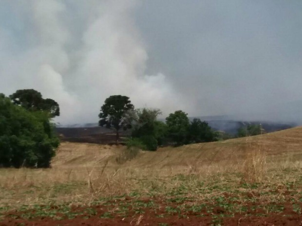 Indígenas atearam fogo em lavoura de trigo e em pastagens secas em Sananduva (Foto: Arquivo Pessoal)