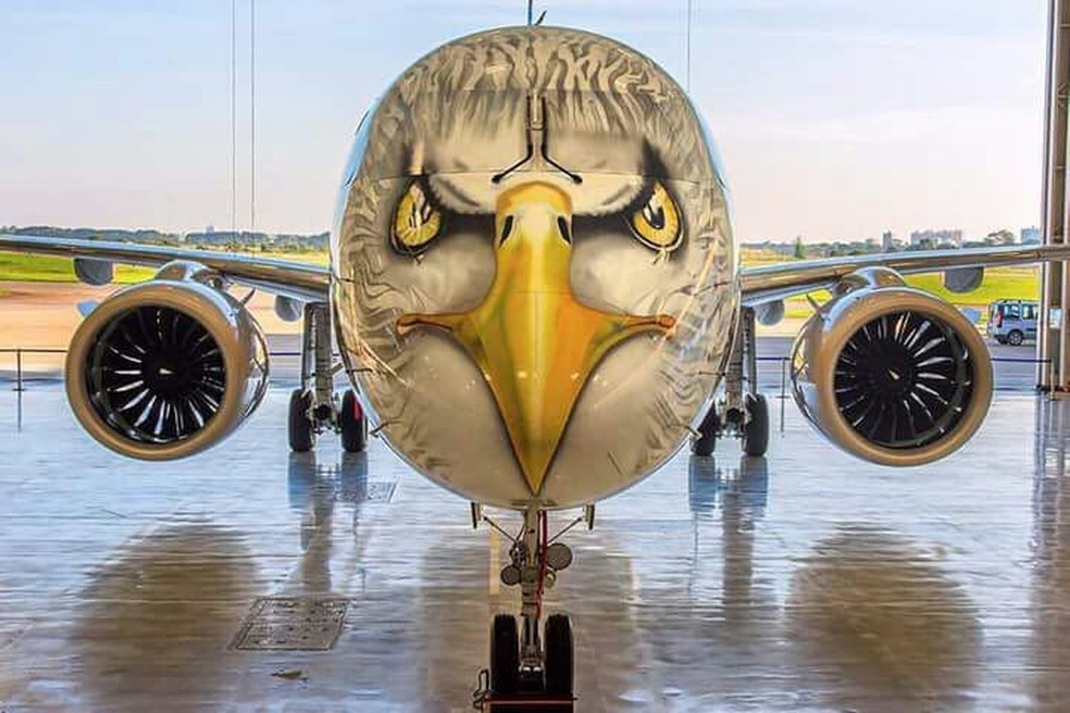 Águia faz parte da família E2 (Foto: Arquivo Pessoal)