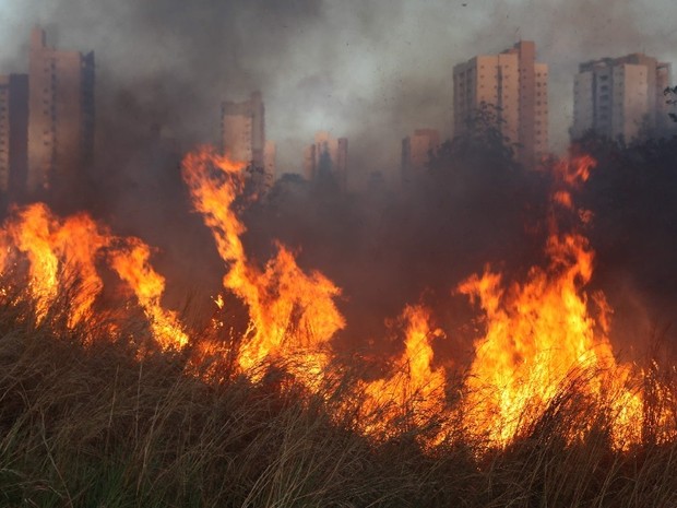 Maranhão foi o segundo estado do país que mais registrou focos de incêndio nesta sexta-feira (2) (Foto: Douglas Jr / O Estado)