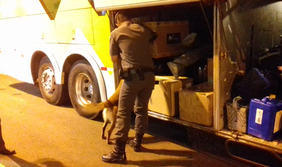 Operação Ferrolho apreende malas cheias de maconha em Presidente Prudente (Foto: Polícia Militar/Cedida)