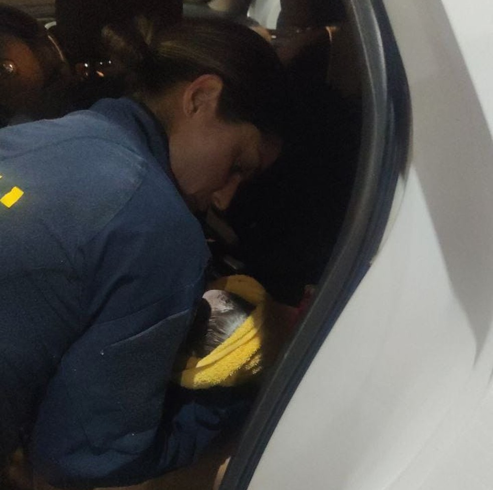 Agente da PRF ajuda mulher que deu à luz em rodovia, no DF — Foto: PRF/Divulgação
