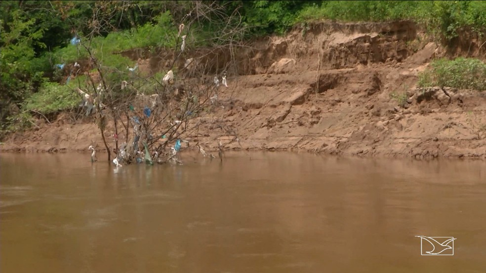 Lixo toma conta da vegetação as margens do Rio Itapecuru no Maranhão. — Foto: Reprodução/TV Mirante